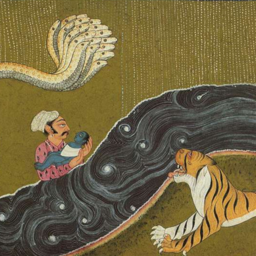 08_vasudeva_krishna_tiger_river.jpg